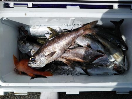 康仁丸＃ジギング釣り果